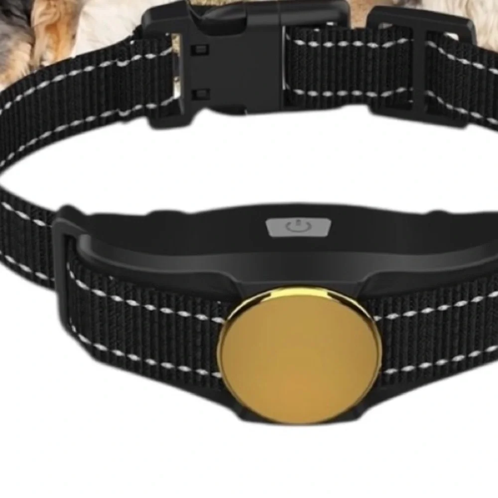 Casfuy 1000-ft Remote Rechargeable Waterproof Dog Training Collar‎ 2 Count